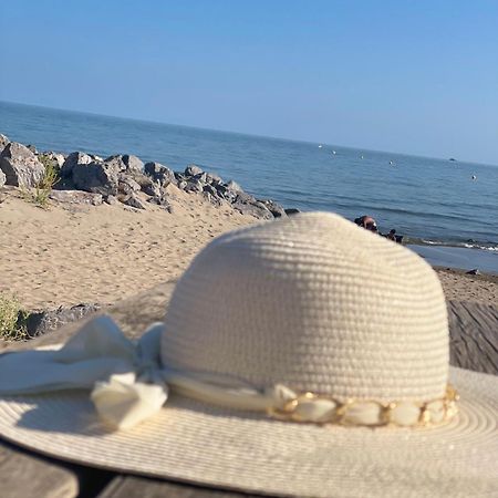 Vrasland Ter 70 M De La Plage 6 Couchages 纳博讷普拉日 外观 照片